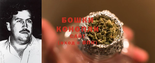 spice Белокуриха