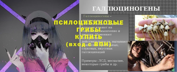spice Белокуриха
