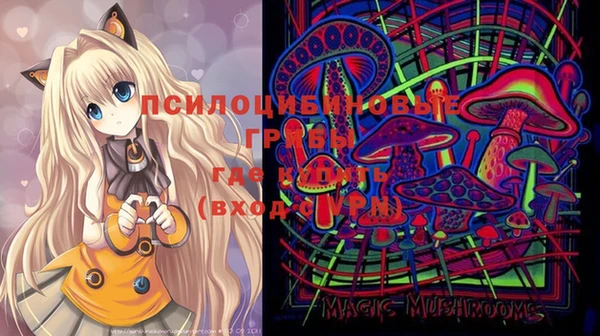 spice Белокуриха