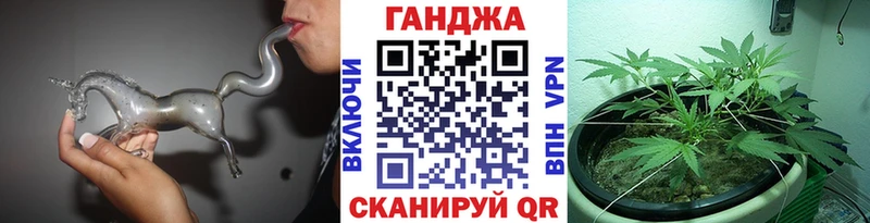 Бошки марихуана THC 21%  сколько стоит  OMG как войти  Шилка 